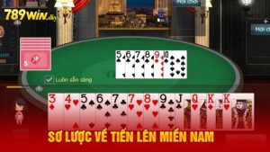 Khái niệm cơ bản về game bài Tiến lên miền Nam