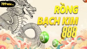 Rồng bạch kim 888 là gì?