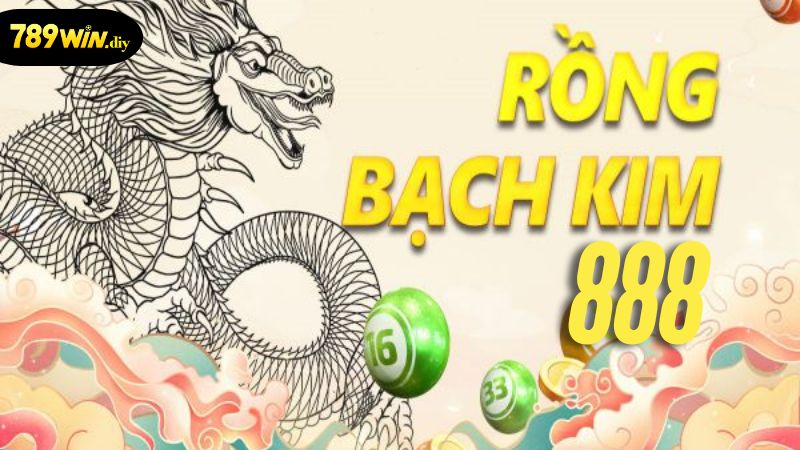 Rồng bạch kim 888 là gì?